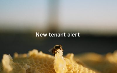 New Tenants…. Bees!